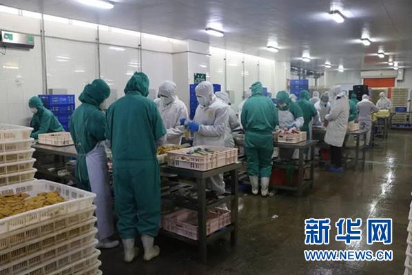 CQ9电子·(中国)唯一官方网站