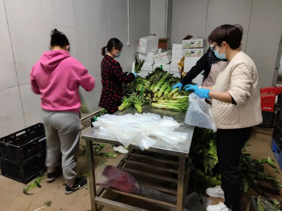 CQ9电子·(中国)唯一官方网站