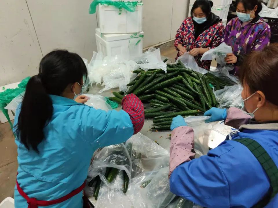 CQ9电子·(中国)唯一官方网站