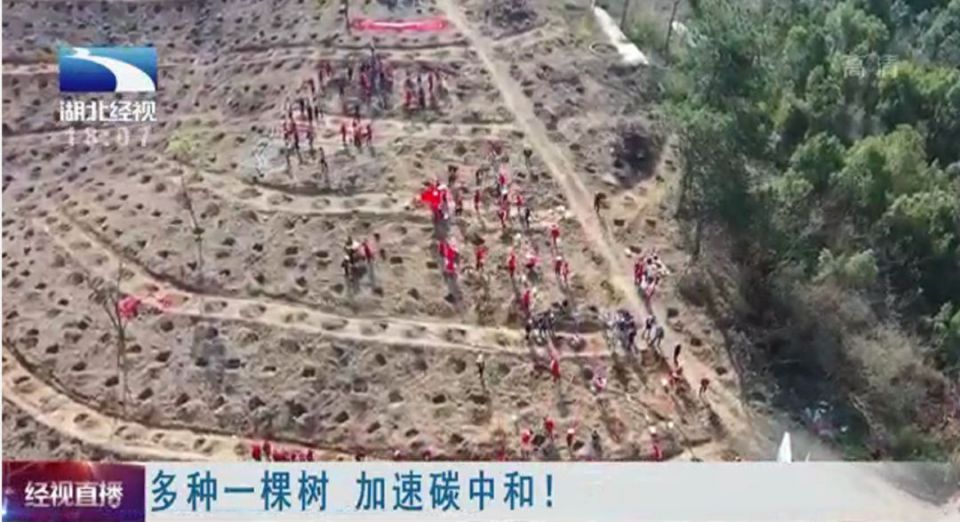 CQ9电子·(中国)唯一官方网站