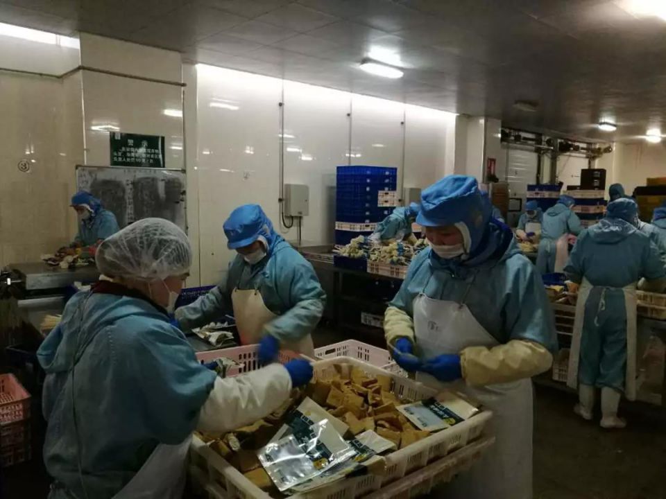 CQ9电子·(中国)唯一官方网站
