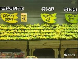 CQ9电子·(中国)唯一官方网站