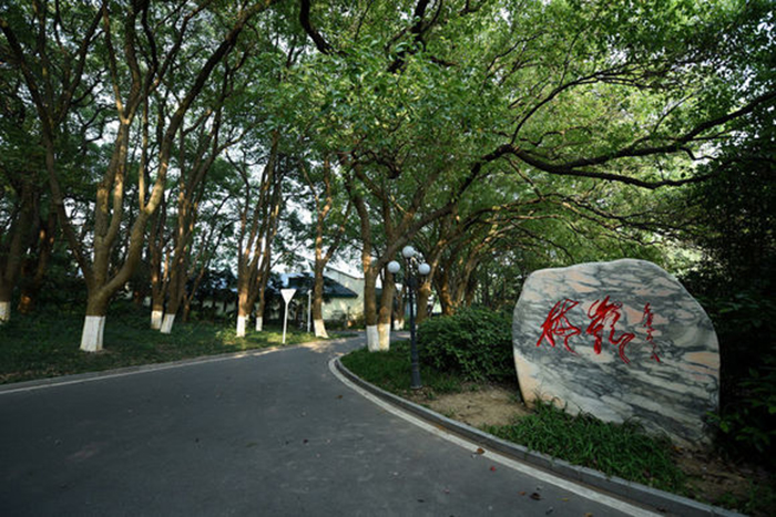CQ9电子·(中国)唯一官方网站