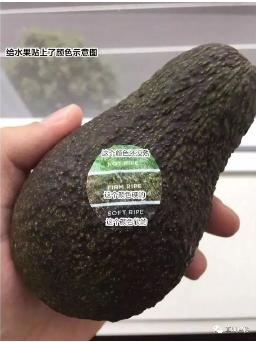 CQ9电子·(中国)唯一官方网站