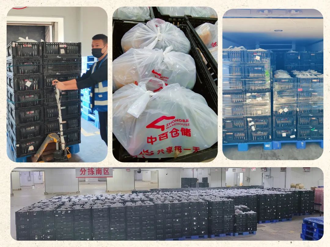 CQ9电子·(中国)唯一官方网站