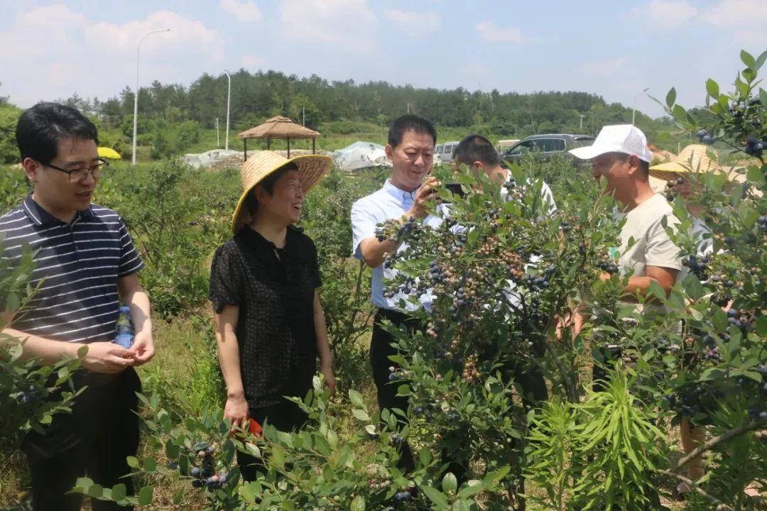 CQ9电子·(中国)唯一官方网站
