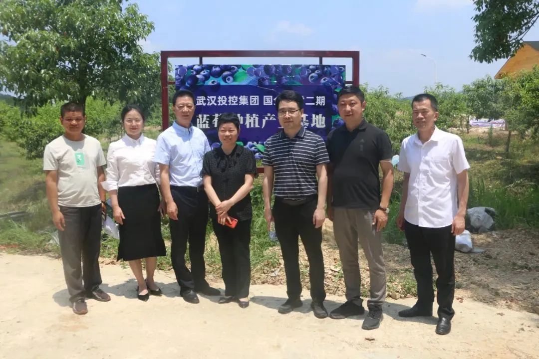 CQ9电子·(中国)唯一官方网站