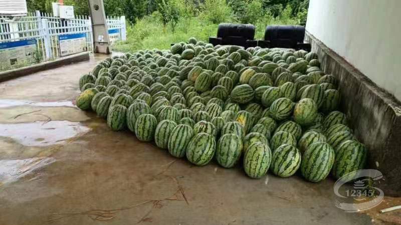 CQ9电子·(中国)唯一官方网站